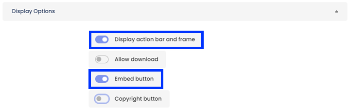 Moodle - Display Options - Embed Button